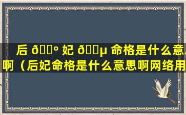 后 🐺 妃 🐵 命格是什么意思啊（后妃命格是什么意思啊网络用语）